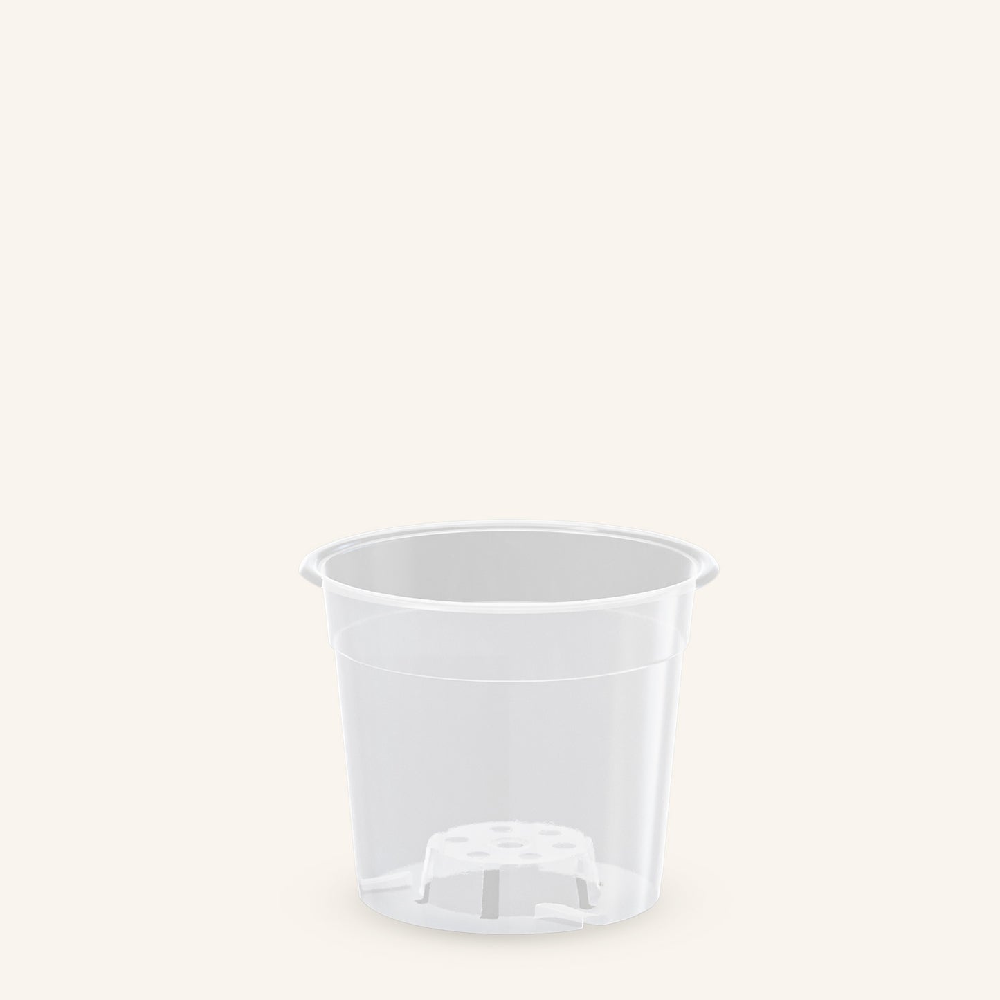 Genomskinliga orkidékrukor