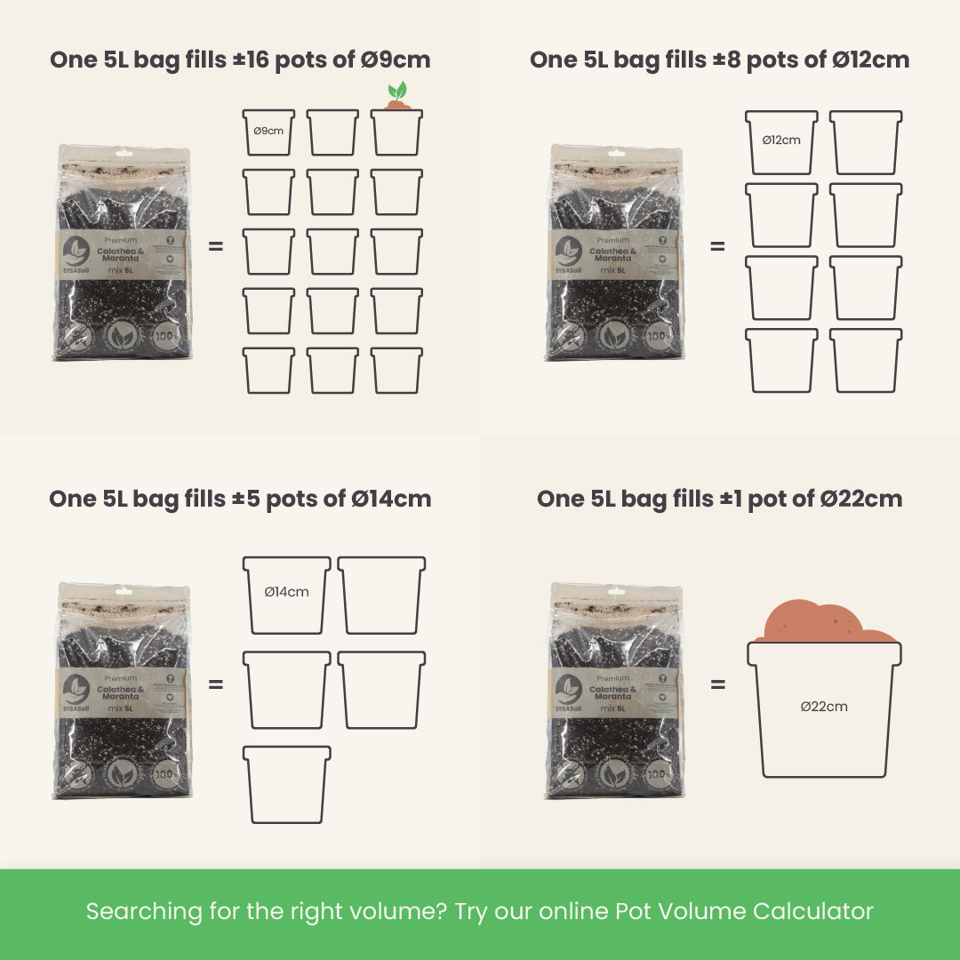 Calathea & Marantajord