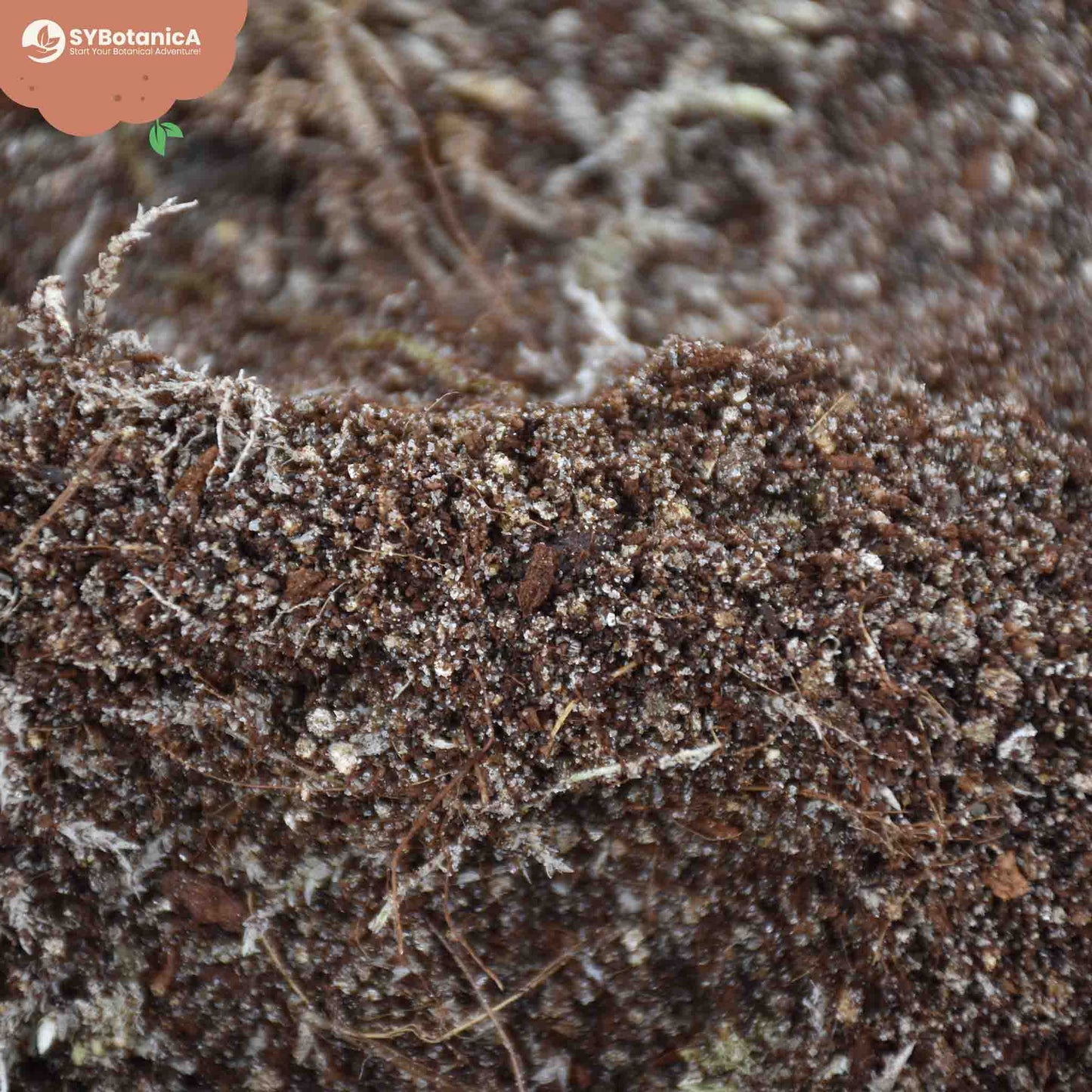 Köttätande växterjord