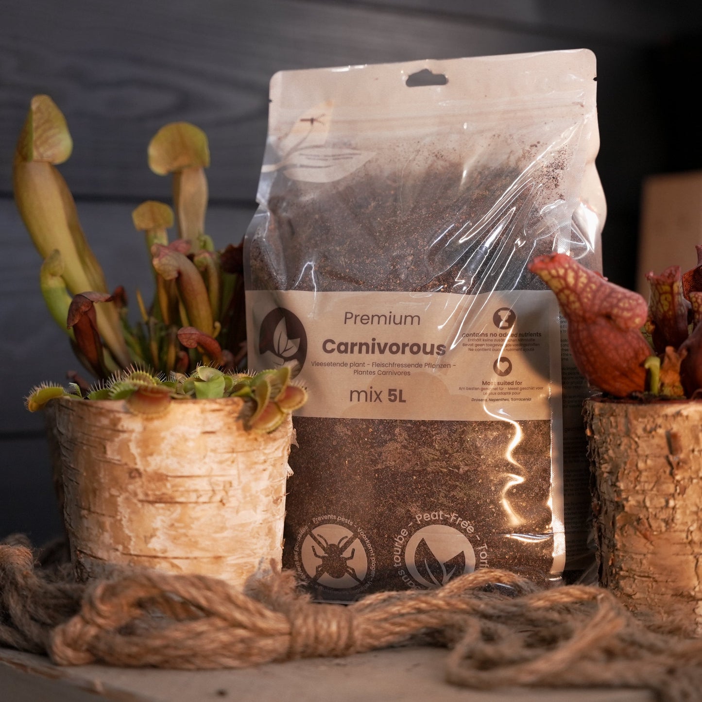 Köttätande växterjord