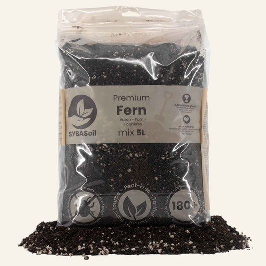 Fern Mix