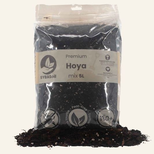 Hoya Mix