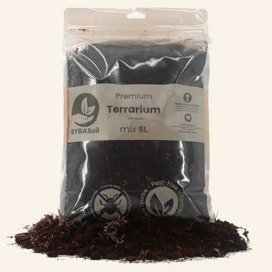Terrarium Mix