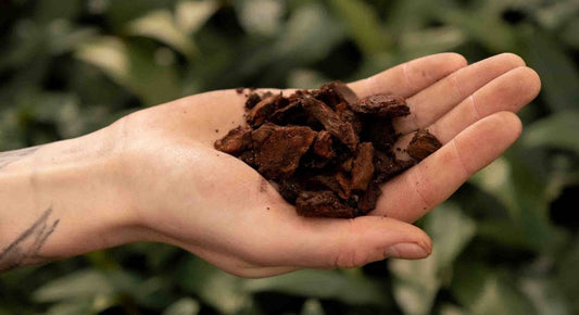 Orchid bark