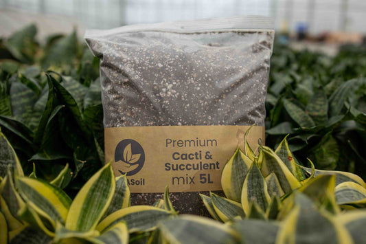 Cacti soil