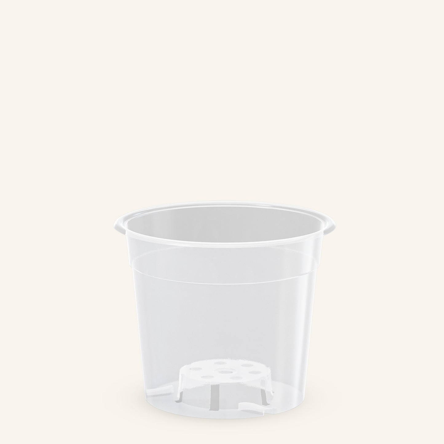 Genomskinliga orkidékrukor