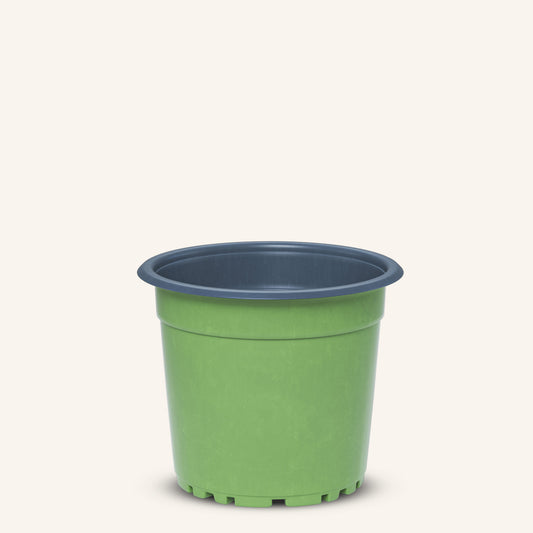 Grön plantskola kruka