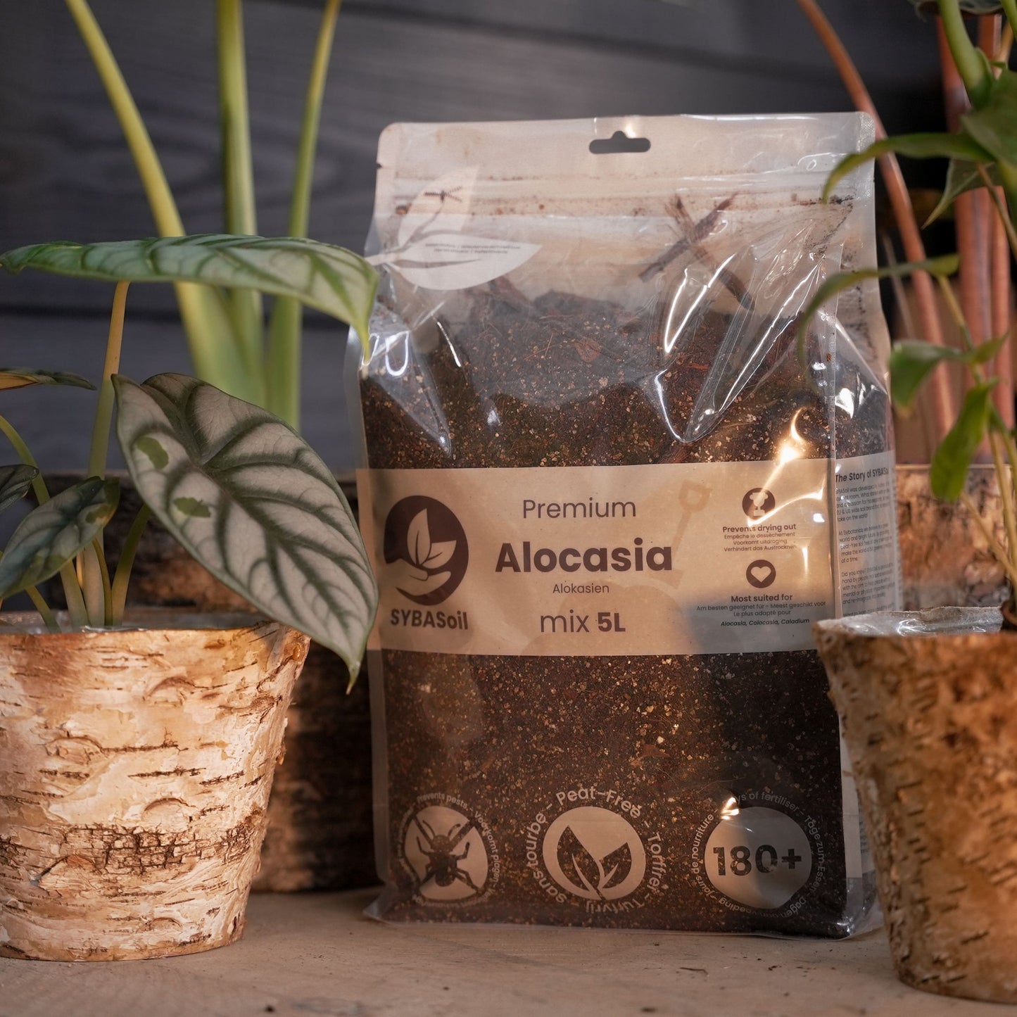 Super DIY Tropisk Jungle-mixpaket