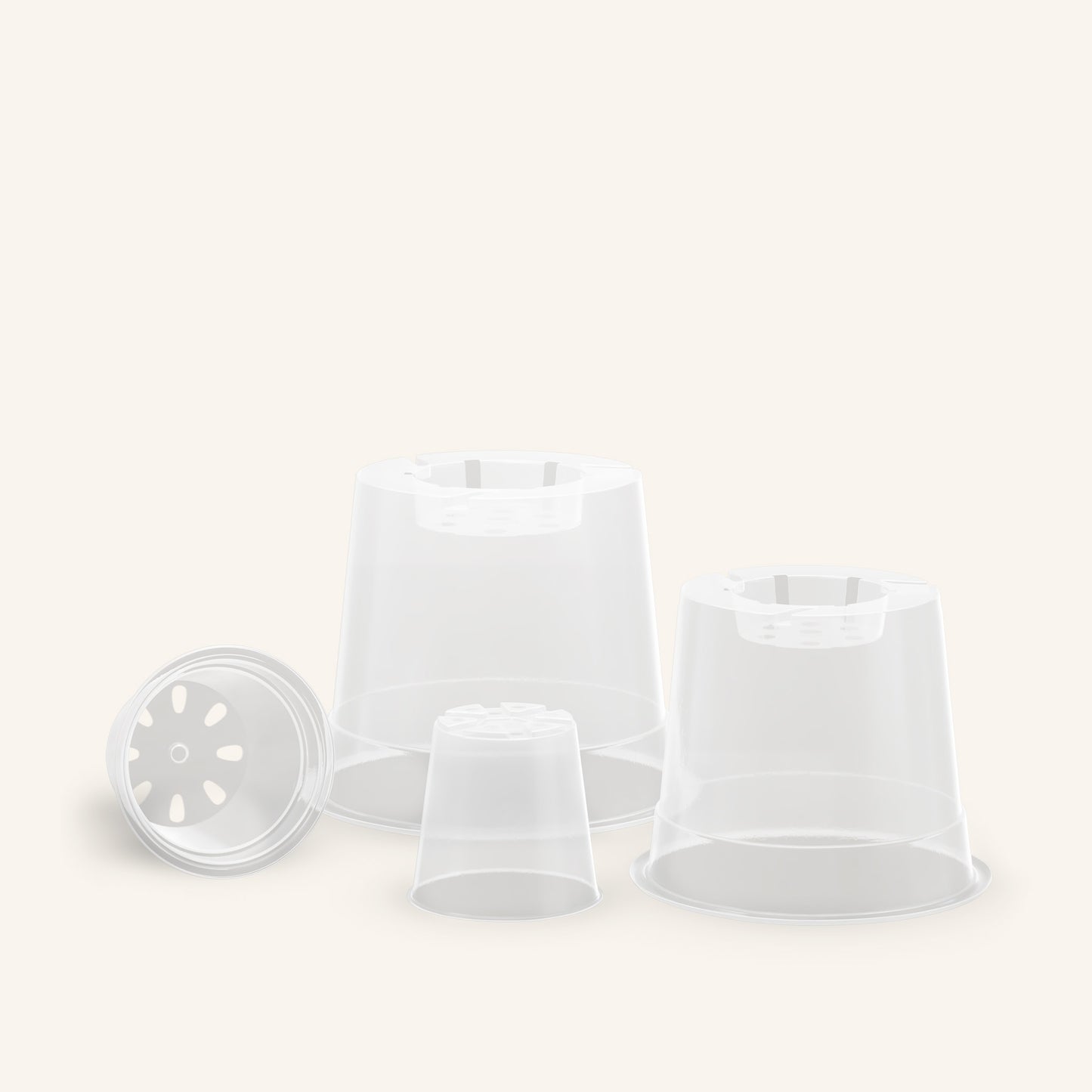 Genomskinliga orkidékrukor