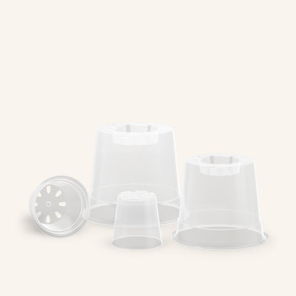 Genomskinliga orkidékrukor