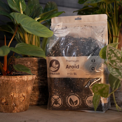 Super DIY Aroid-mixpaket