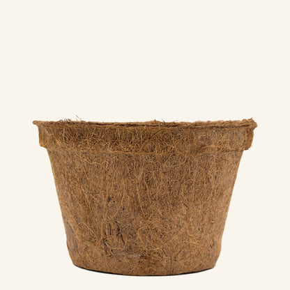 Kokoskrukor