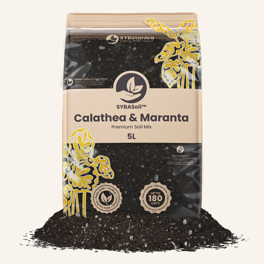 Calathea & Marantajord 5L