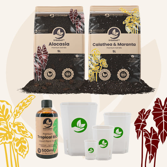 Tropical Jungle Welcome Bundle