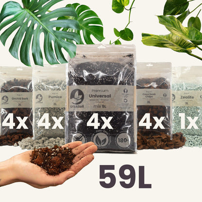 Super DIY Aroid-mixpaket